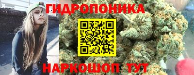 винт Обнинск