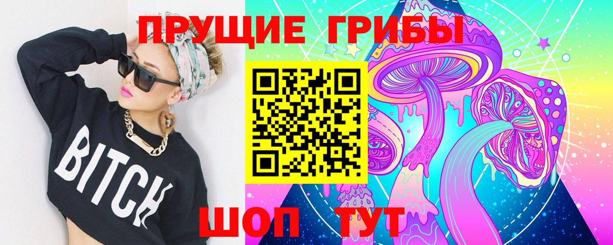 Галлюциногенные грибы Psilocybe Ступино