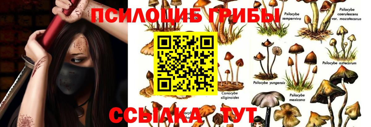 Галлюциногенные грибы Magic Shrooms  закладки  Ступино  Вход с VPN 